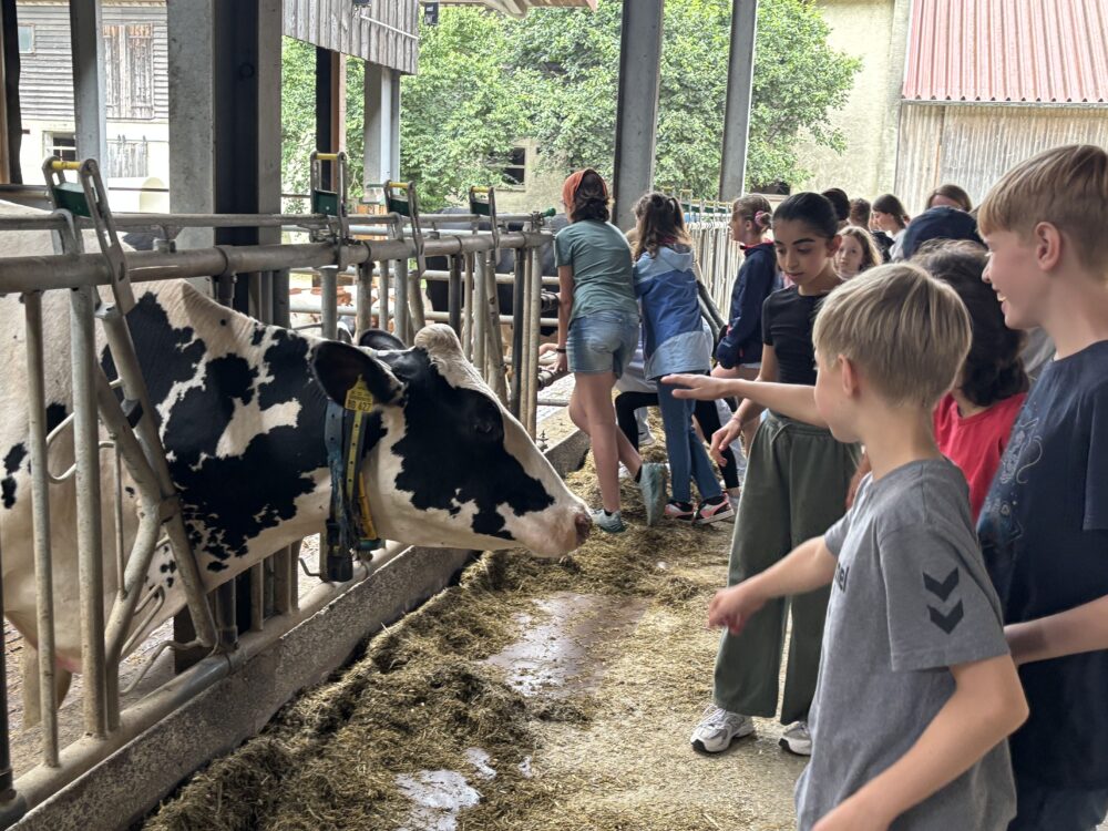 Kinder im Kuhstall