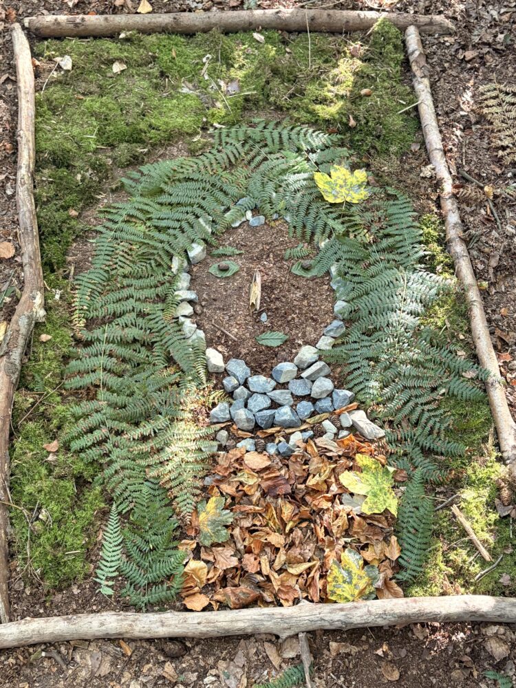 Projekt "Natürlich Erleben" - Waldbild