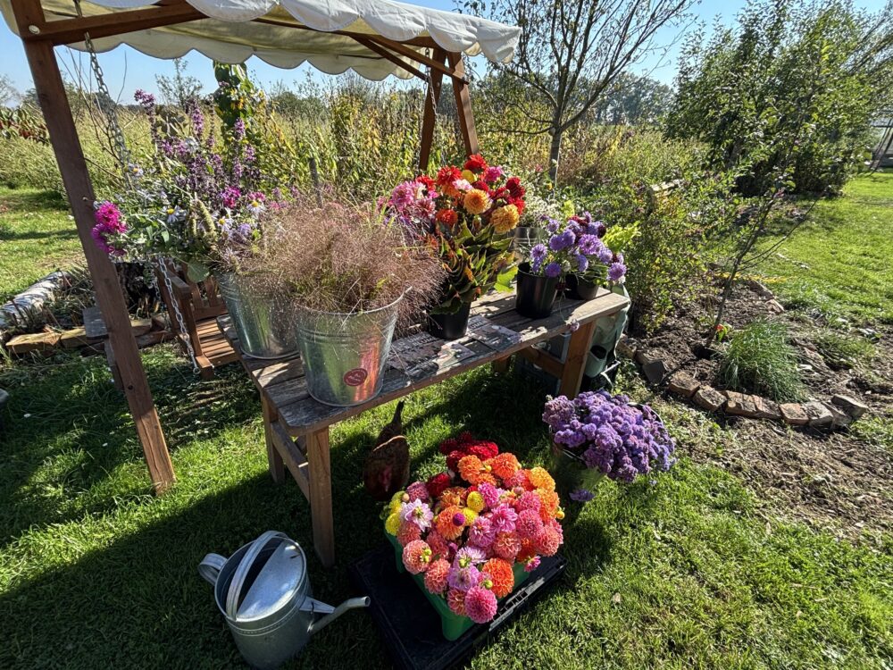 „Slow Flowers“ - Station, bei der Schüler*innen etwas über nachhaltigen Blumenanbau lernen